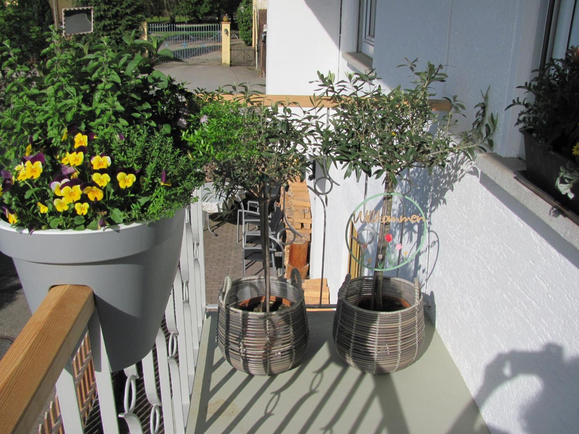 #1Gemuetliches Ruhiges Sonniges Balkonzimmer Mit Gemeinschaftsbad W-Lan Airport Nah Late Night Check In Haus Nr 9,5 Trunkelsberg Luaran gambar
